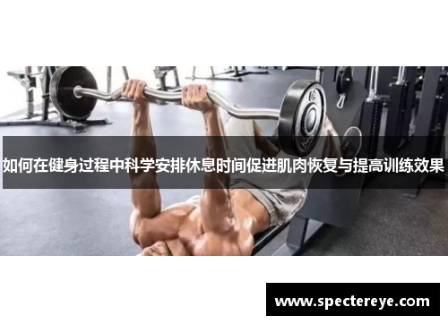 如何在健身过程中科学安排休息时间促进肌肉恢复与提高训练效果