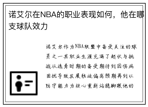 诺艾尔在NBA的职业表现如何，他在哪支球队效力
